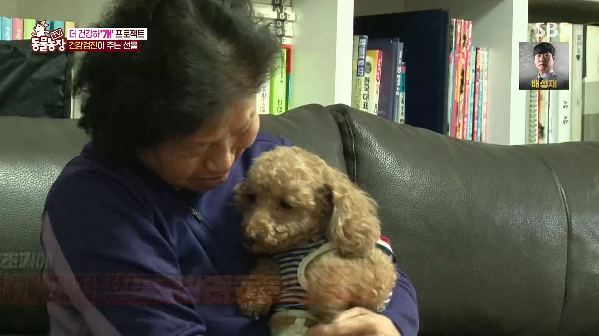 TV 동물농장.E1097.221127p.H264-F1RST.mp4_20221127_181704.975.jpg