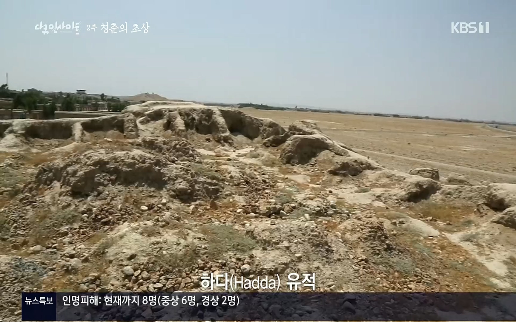 다큐 인사이트.E113.220519p.H264-F1RST.mp4_20220523_205651.837.jpg