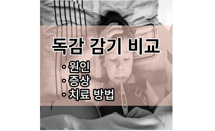 독감 증상 감기와 다르다 증상 비교 및 치료 방법 총정리