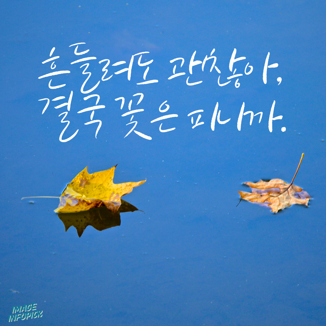 캘리그라피 글귀 모음 좋은 글