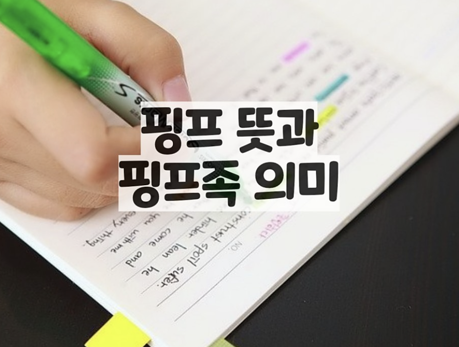  핑프 뜻, 핑프족 뜻 - 직접 찾지 않고 물어보는 사람