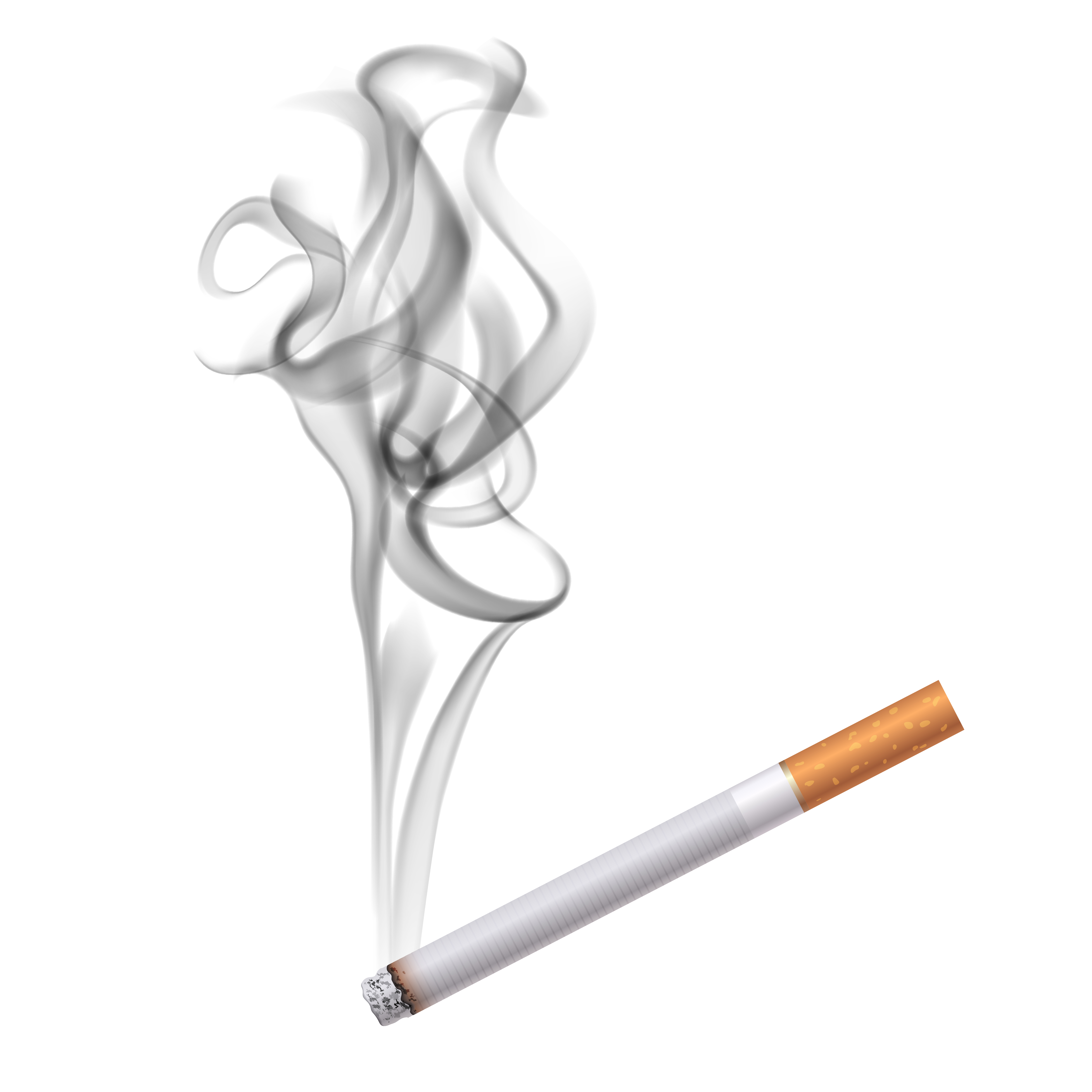 담배를 피우는 사람은 구강암에 걸릴 확률이 10배나 높다