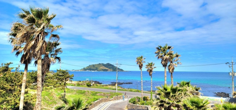 10만원대 10만원대