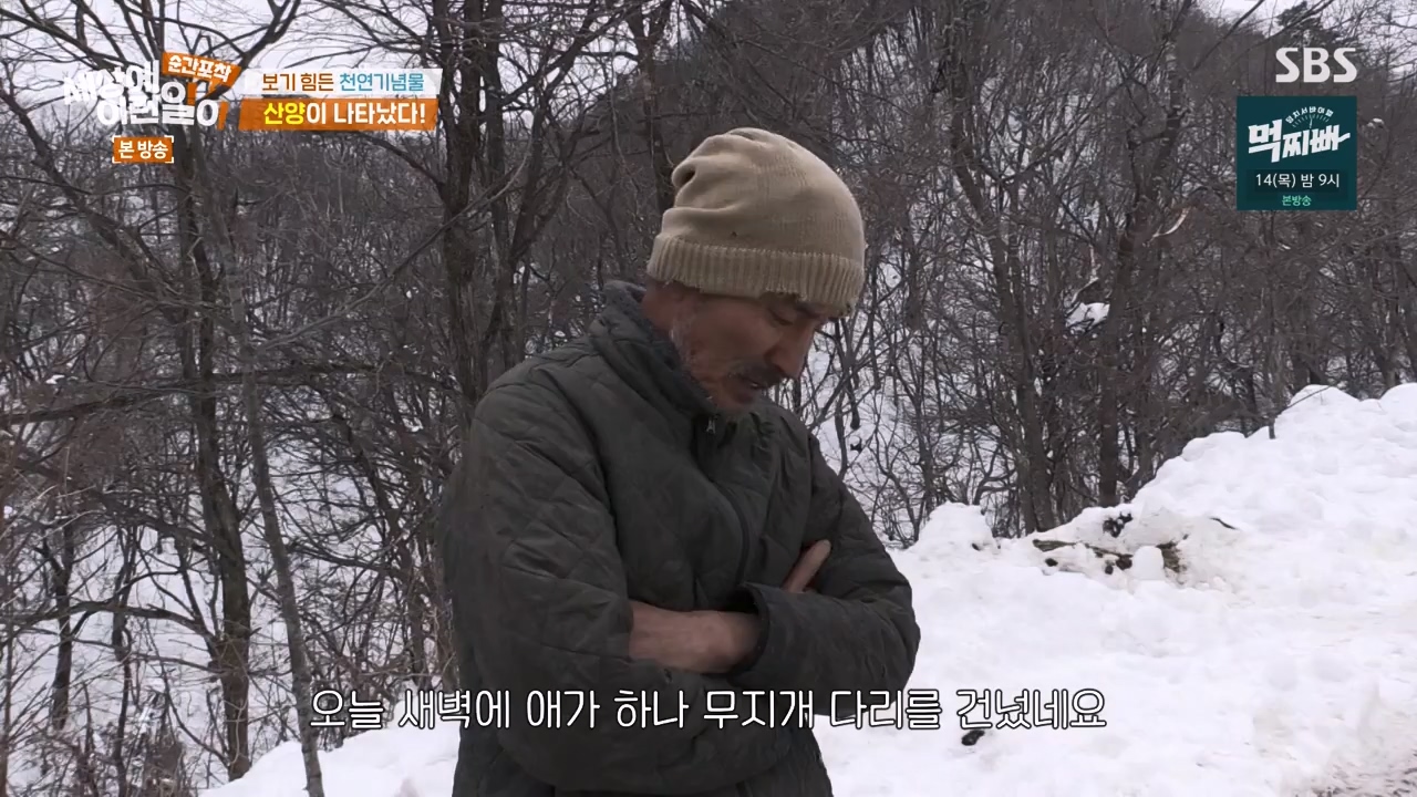 순간포착 세상에 이런일이.E1268.240310p-NEXT.mp4_20240310_132538.725.jpg