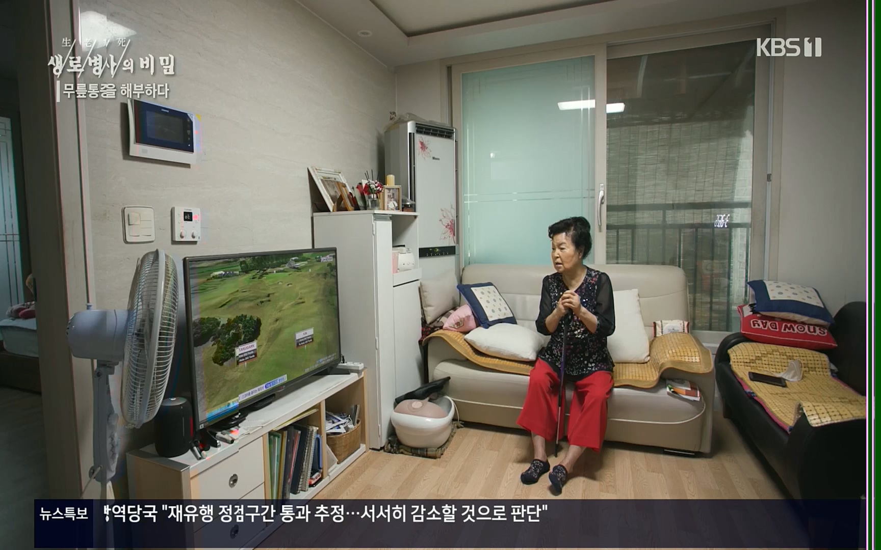 생로병사의 비밀.E834.220907p.H264-F1RST.mp4_20220908_210418.608.jpg