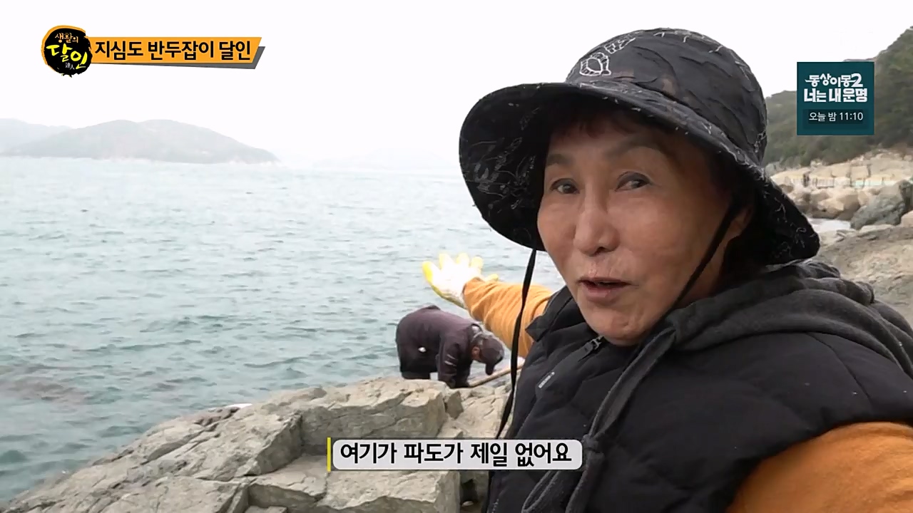 생활의 달인.E881.230328p-NEXT.mp4_20230328_201115.278.jpg