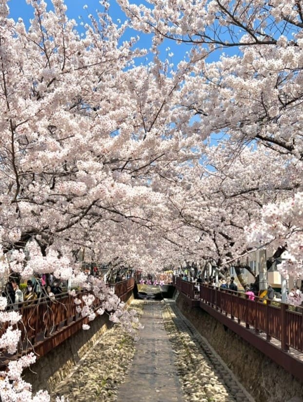 2023 진해군항제축제 성료