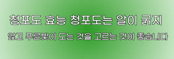  청포도 효능 청포도는 알이 굵지 않고 푸른빛이 도는 것을 고르는 것이 좋습니다