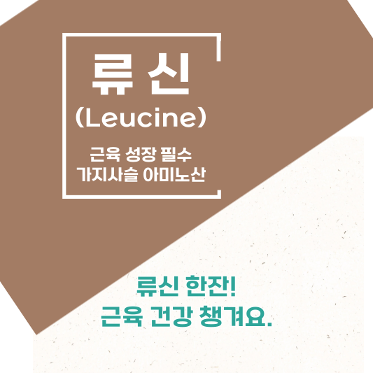 류신(Leucine) 효능&#44; 부작용