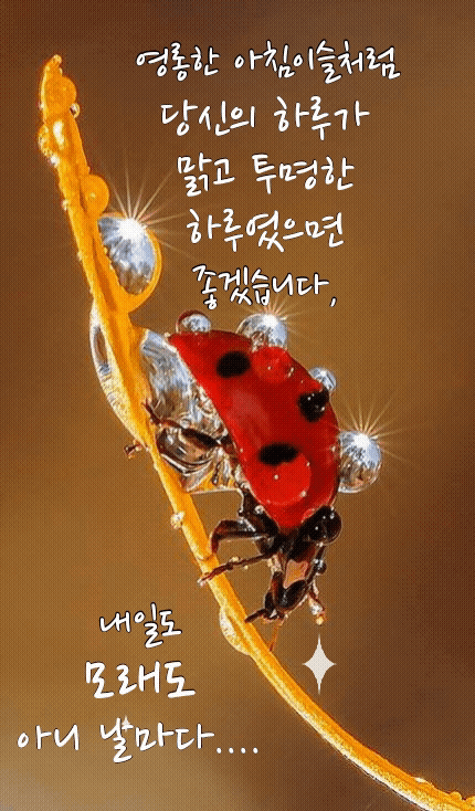  오늘의 좋은글 226번째 성공 매거진을 발전시키는 구체적인 이야기