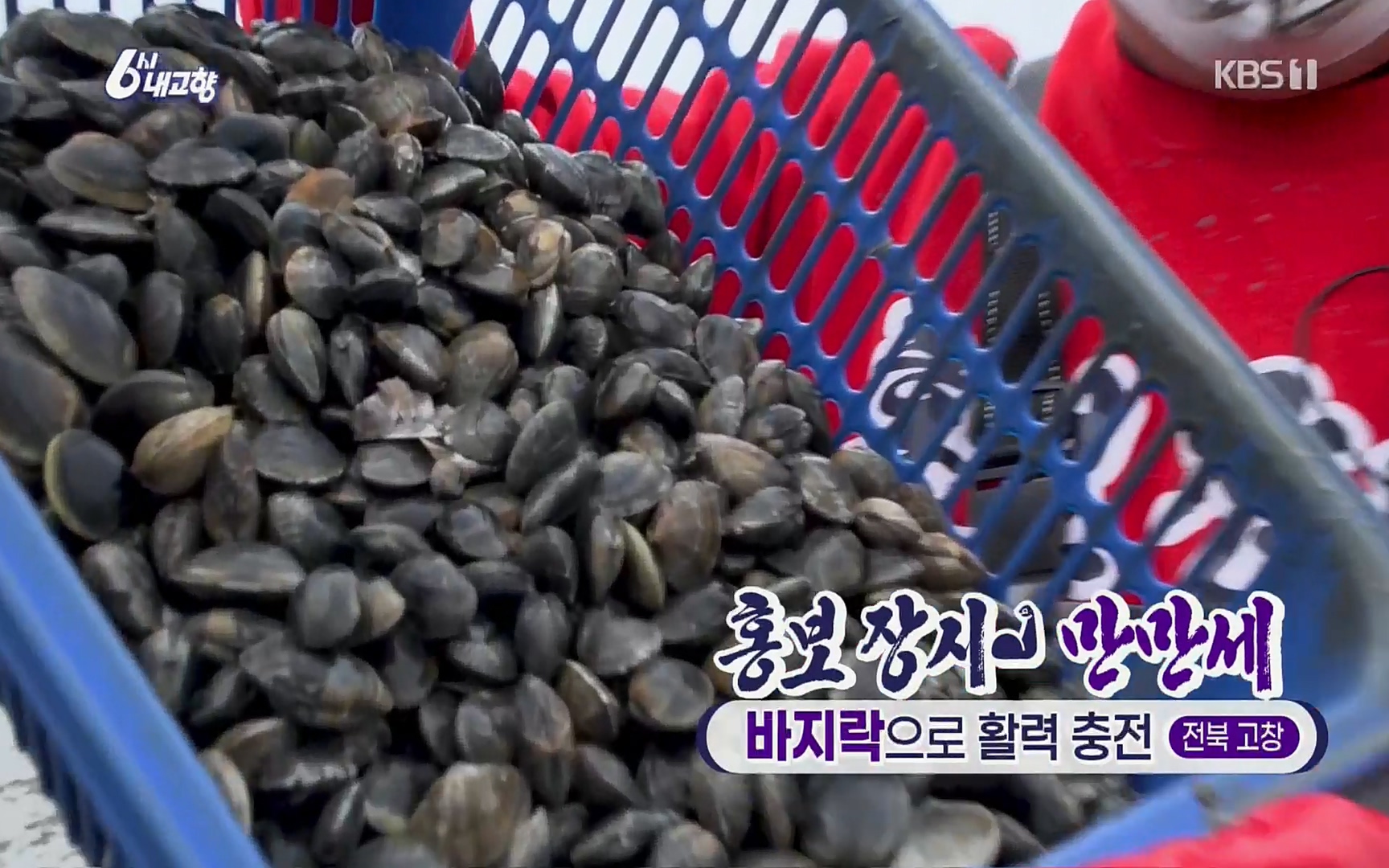 6시 내고향.E7494.220322p.H264-F1RST.mp4_20220326_173416.451.jpg