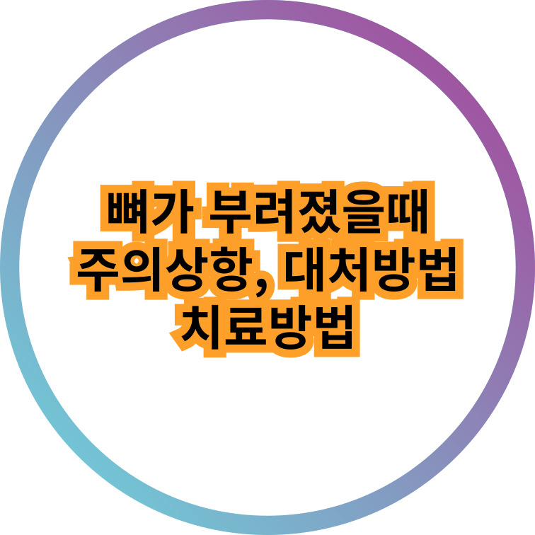 배너