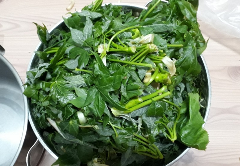  엄나무순 데치기 무침 효능