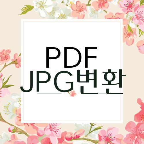 PDF JPG변환