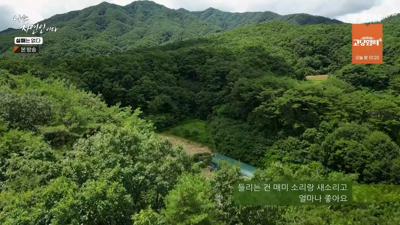 나는 자연인이다.E567.230817p-NEXT.mp4_20230817_202921.598.jpg