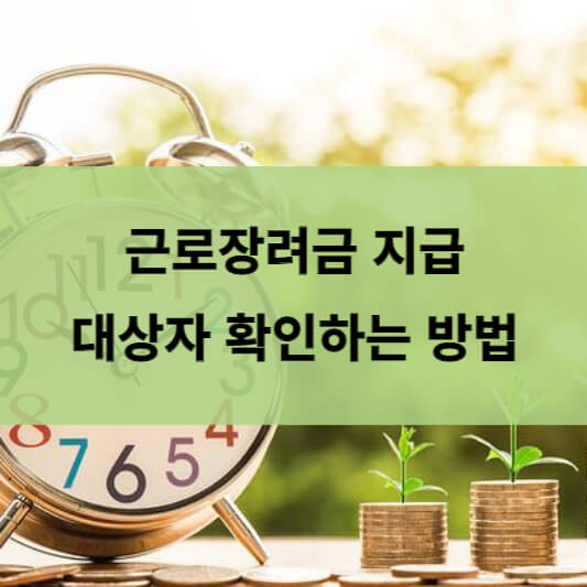  근로 장려금 지급 대상자 확인 , 신청자격