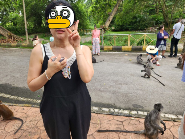 쿠알라룸푸르여행_투어말레이시아_반딧불투어_몽키힐