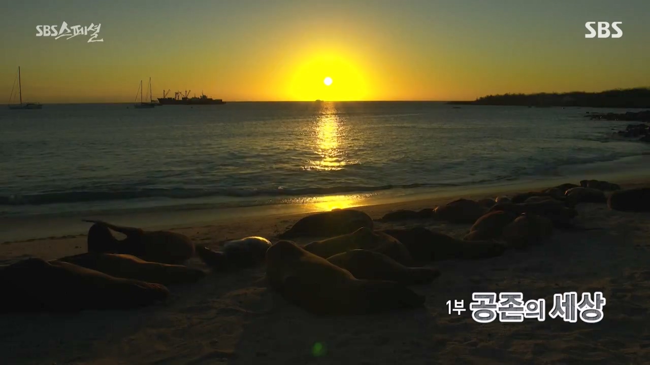 일요특선 다큐멘터리.E325.230724p-NEXT.mp4_20230726_211737.208.jpg