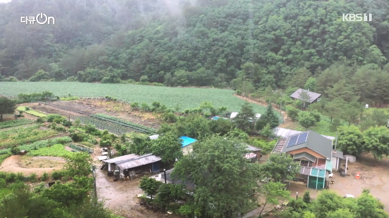 다큐 온.E245.240414p-NEXT.mp4_20240414_142426.000.jpg