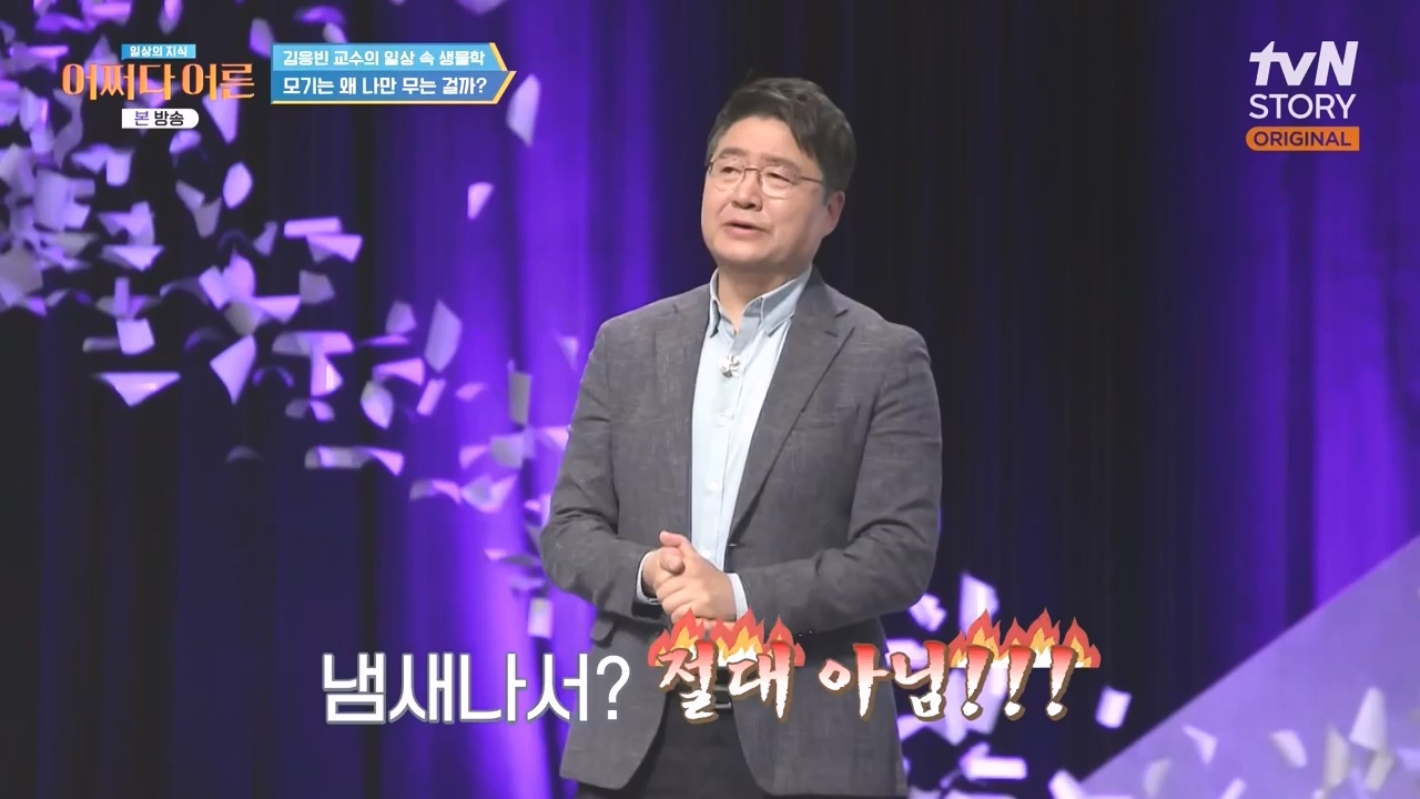 어쩌다 어른.E51.240410p-NEXT.mp4_20240410_180516.389.jpg