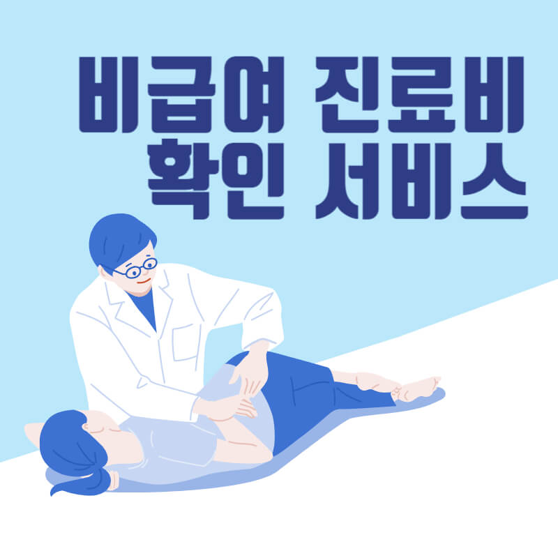 비급여 진료비 확인서비스