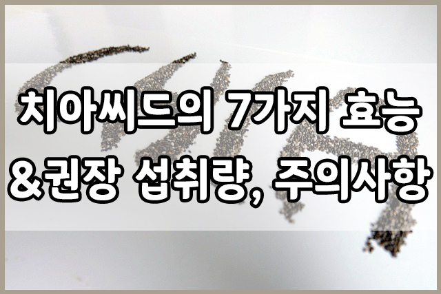  치아 씨드의 일곱 가지 놀라운 효능 : 높은 영양가, 심장 건강, 뼈 건강, 혈당 조절 등
