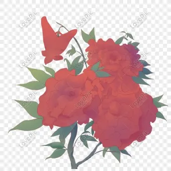 모란 꽃 특성 해설_2