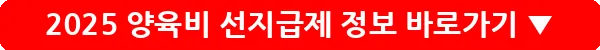 2025 양육비 선지급제 정보_18