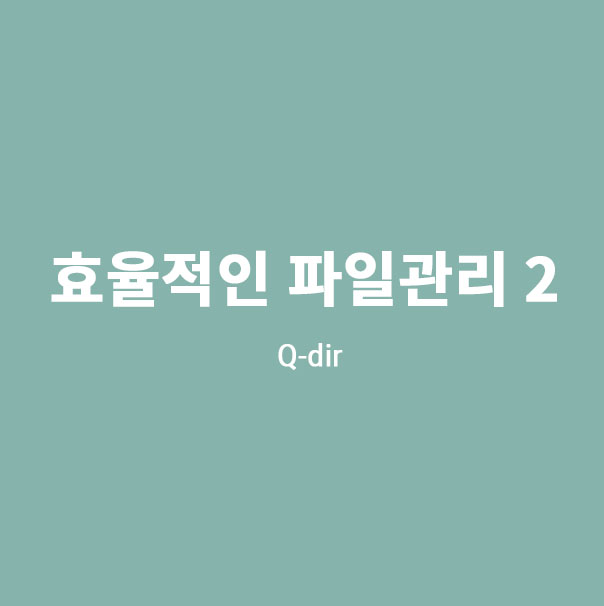  파일 관리 꿀팁 Q-dir 사용법2