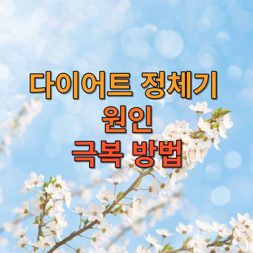 다이어트 정체기 원인과 다이어트 정체기 극복 방법