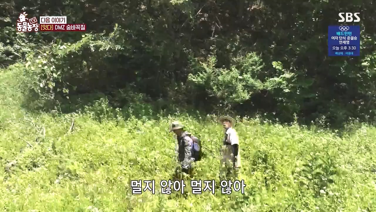TV 동물농장.E1183.240805p-NEXT.mp4_20240804_155002.964.jpg