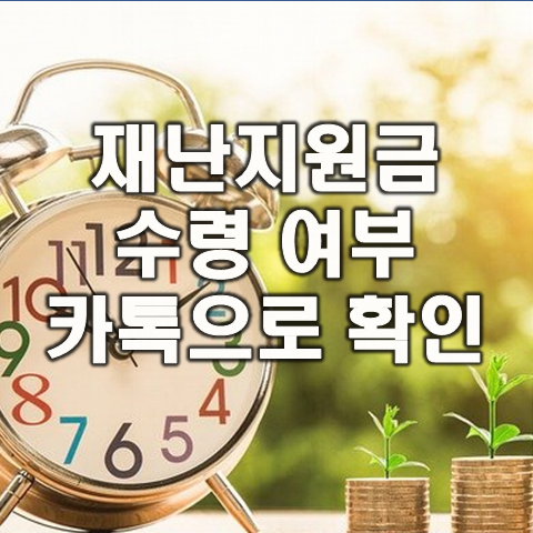  국민지원금 계산기 카카오페이로 확인 하는 방법