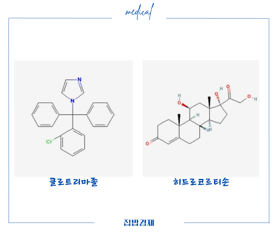 성분