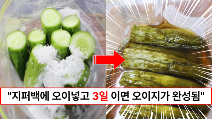 “지퍼백에 오이를 넣어보세요” 물없이 3일이면 오이지를 만들 수 있습니다. (초간단 ver)