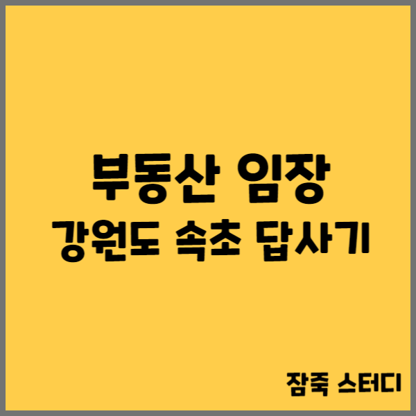  부동산 임장 강원도 속초 답사기
