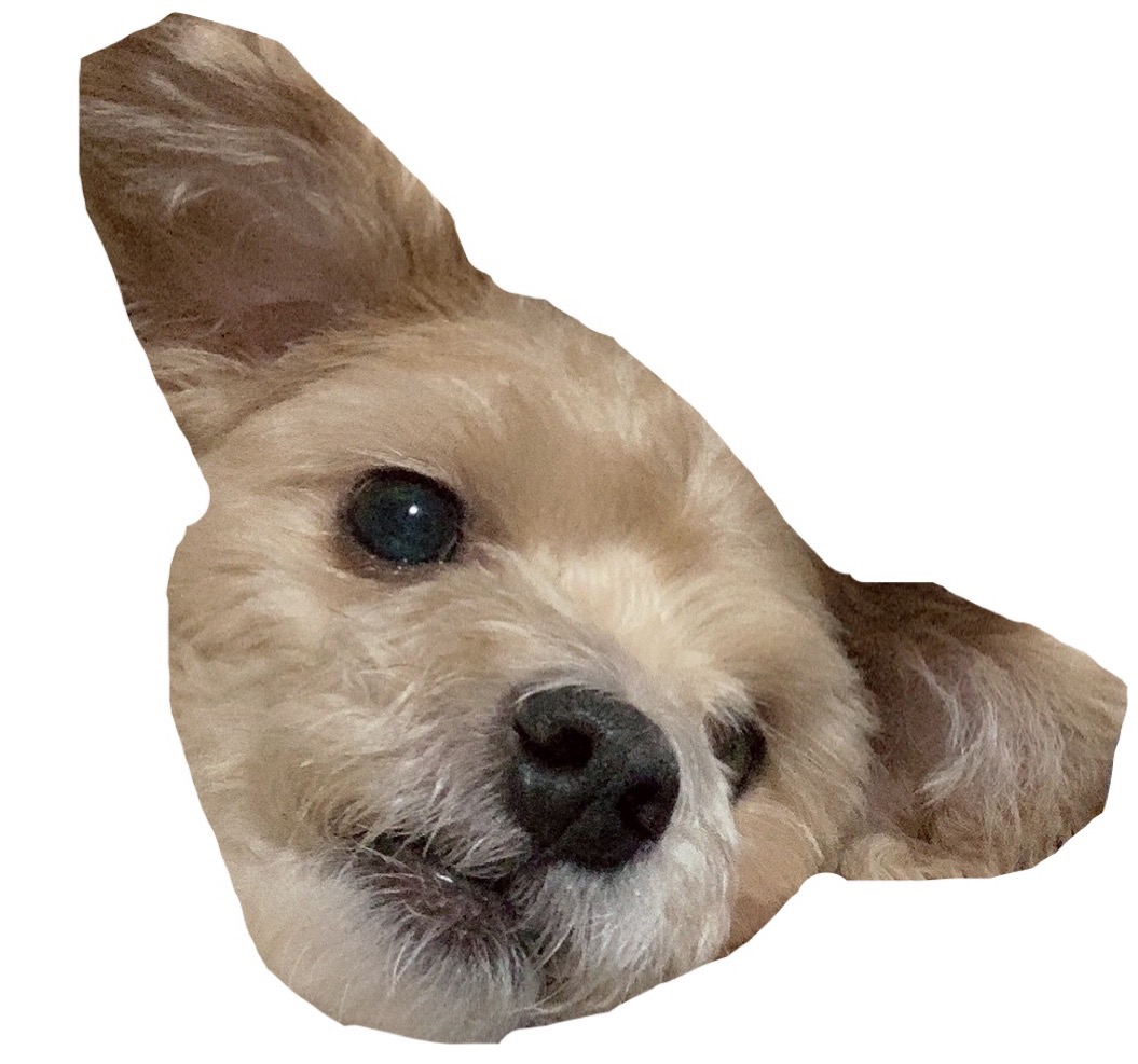  결핍에 대한 나의 생각