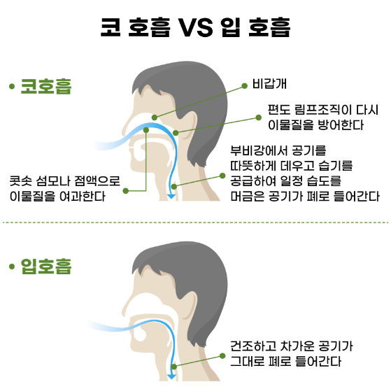 입호흡-코호흡-방법정리