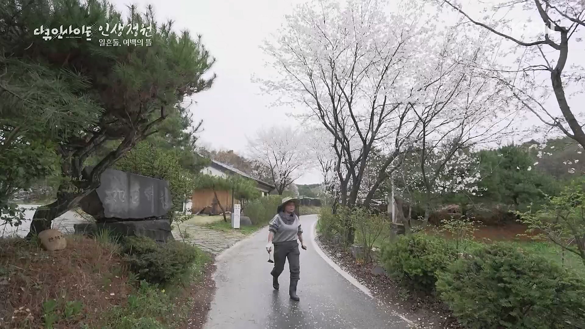 다큐 인사이트.E135.221229p.H264-F1RST.mp4_20230109_204208.571.jpg