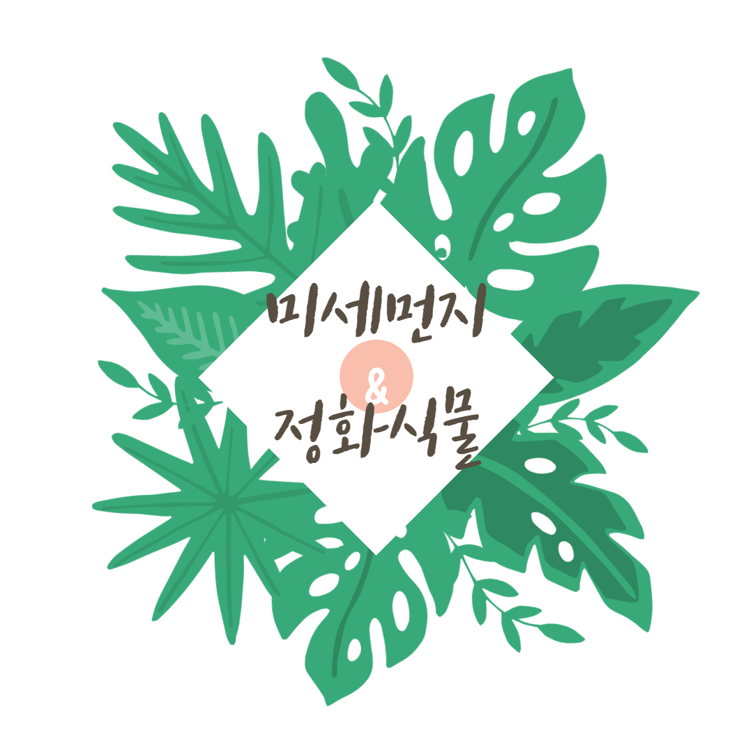  미세먼지를 정화해 주는 실내공기 정화식물에 대해 정리해 드립니다.