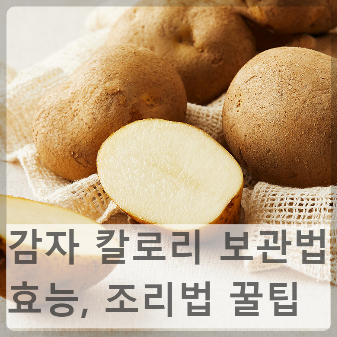 감자-칼로리-보관법-보관방법-효능