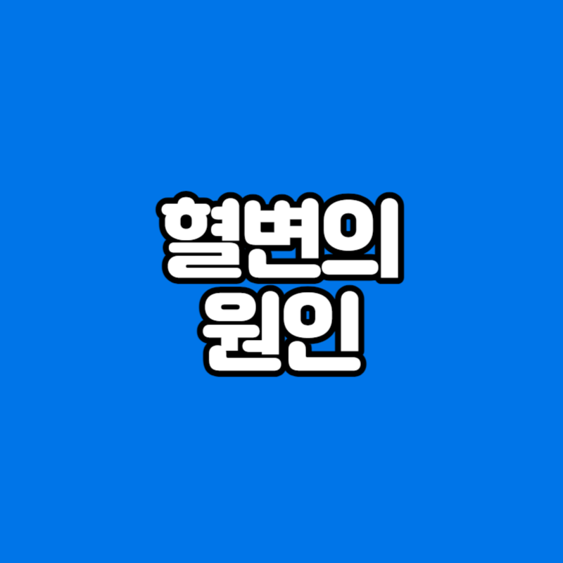 혈변의 원인