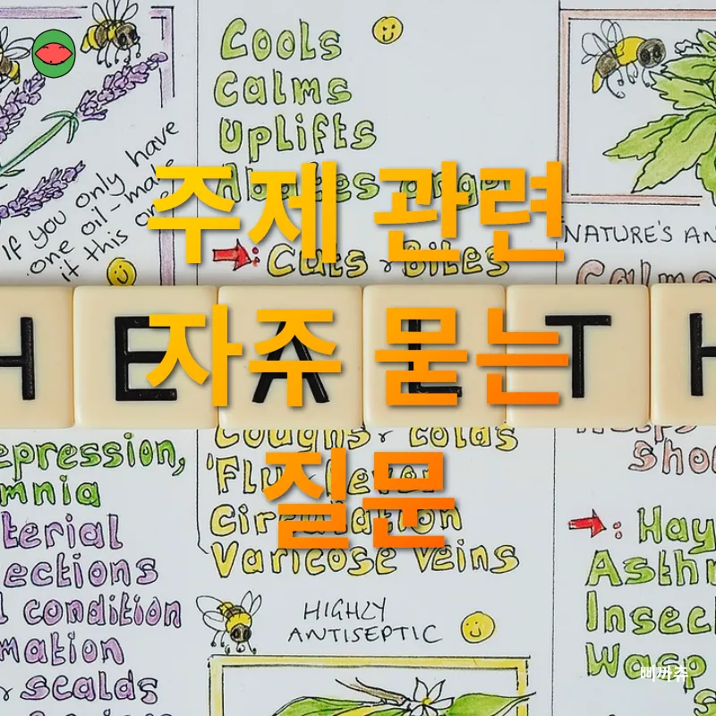 디지털 디톡스_4