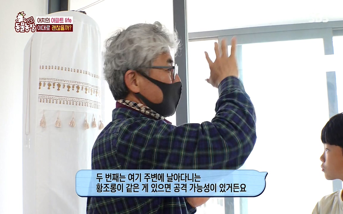 TV 동물농장.E1075.220627p-NEXT.mp4_20220626_175607.884.jpg