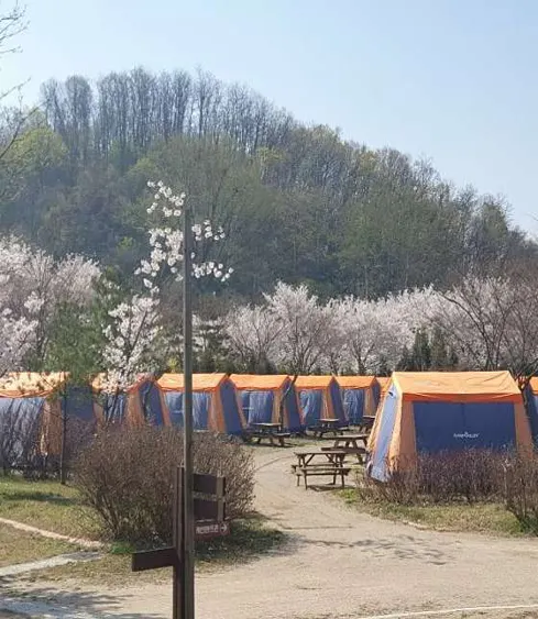 인천대공원 캠핑장