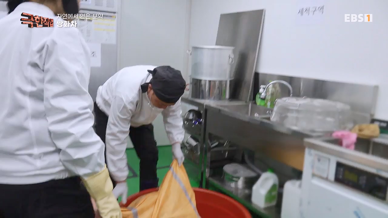 TV - 전 국민의 평생학교 EBS자연에서 얻은 보약, 상황버섯과 산나물, 쌍화차.mp4_20240615_172252.955.jpg