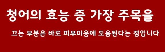 청어의 효능 중 가장 주목을 끄는 부분은 바로 피부미용에 도움된다는 점입니다