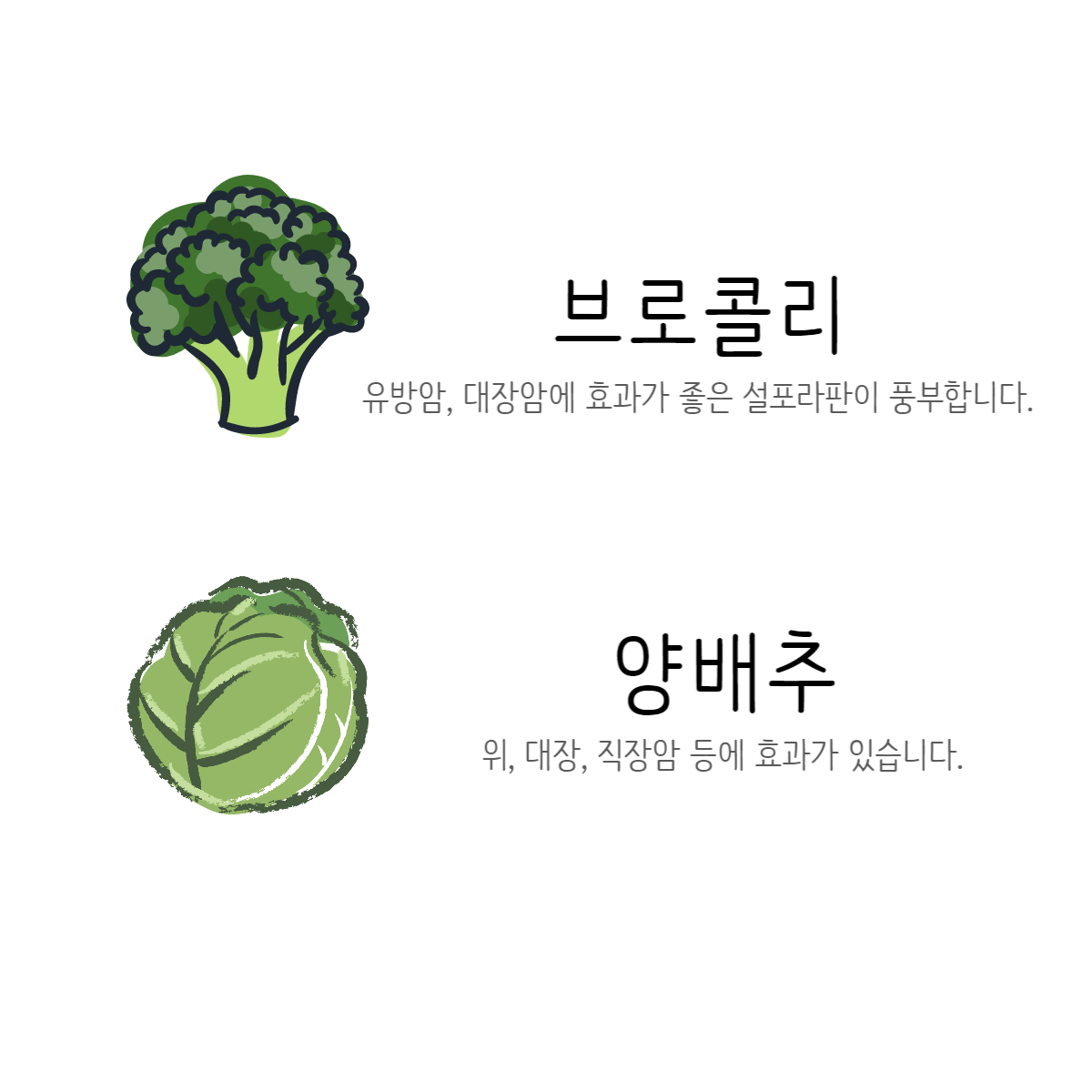 암을 이기는 음식 