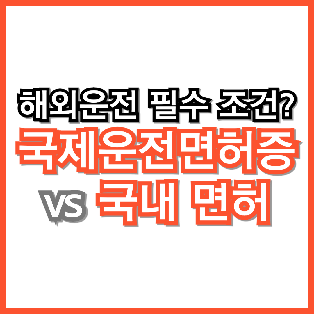 [국제운전면허증 vs 국내면허] 해외 운전 시 필수 조건은?