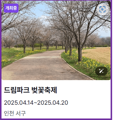 인천드림파크 벚꽃축제