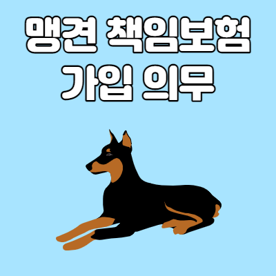  맹견 책임보험 가입 의무